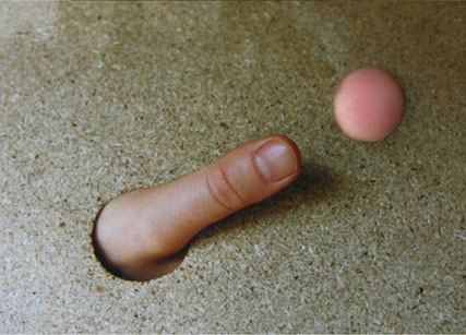 Manipulation, 2007, Fotografie